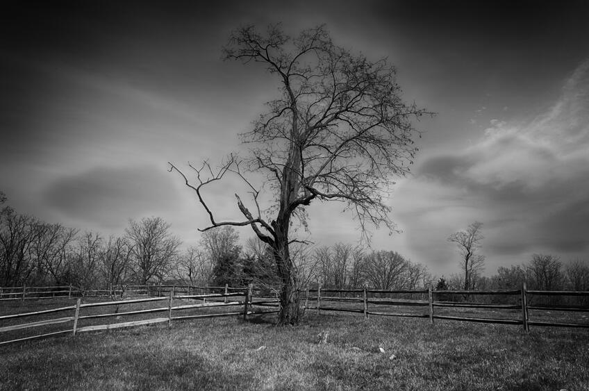 Slave Graveyard